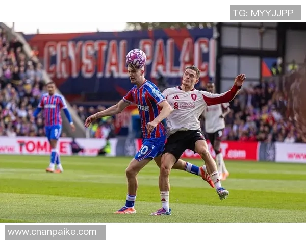 谢菲尔德与水晶宫激战在即谁能在英超赛场上笑到最后